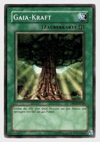 Yugioh-Regeln: Feldzauberkarten